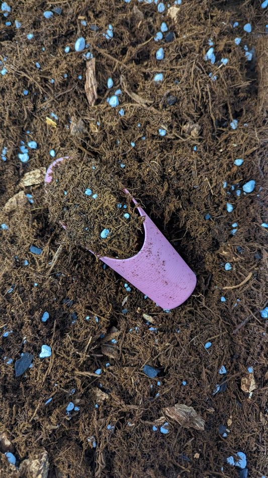 Why we have added Silica to our Phil Dirt - Gathering Moss