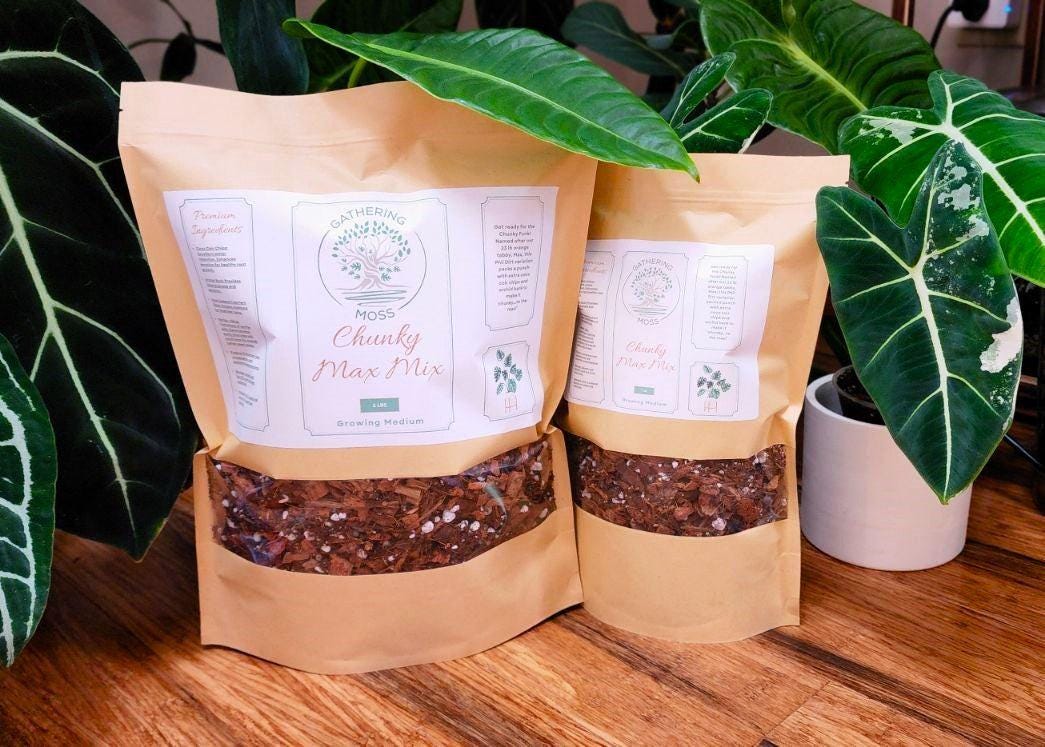 Gathering Moss Chunky Max Mix Made with Tree Fern Fiber! - Gathering Moss