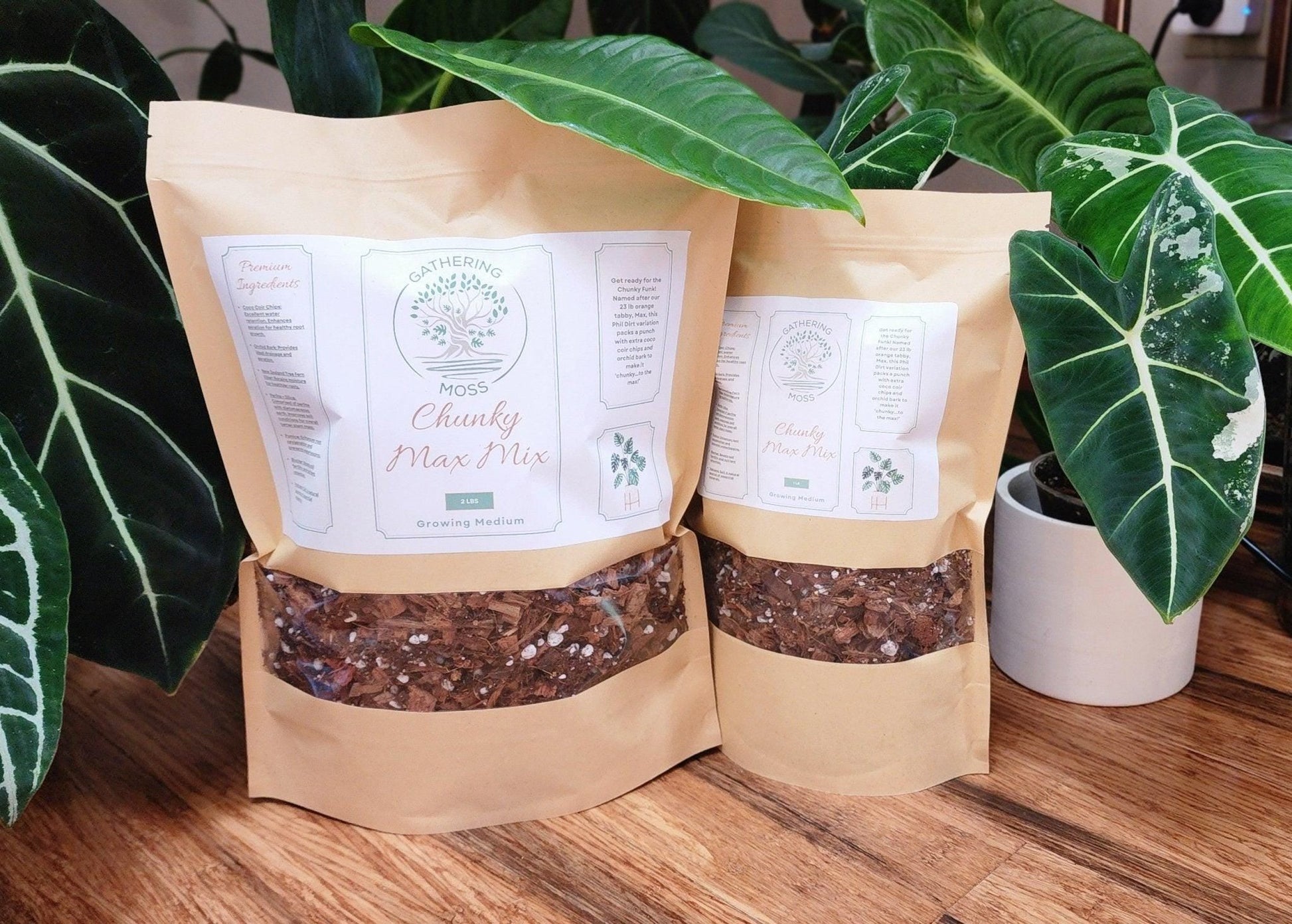 Gathering Moss Chunky Max Mix Made with Tree Fern Fiber! - Gathering Moss