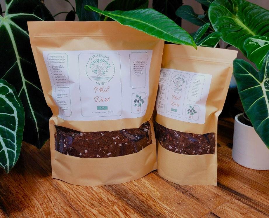 Gathering Moss Phil Dirt Potting Blend - Gathering Moss