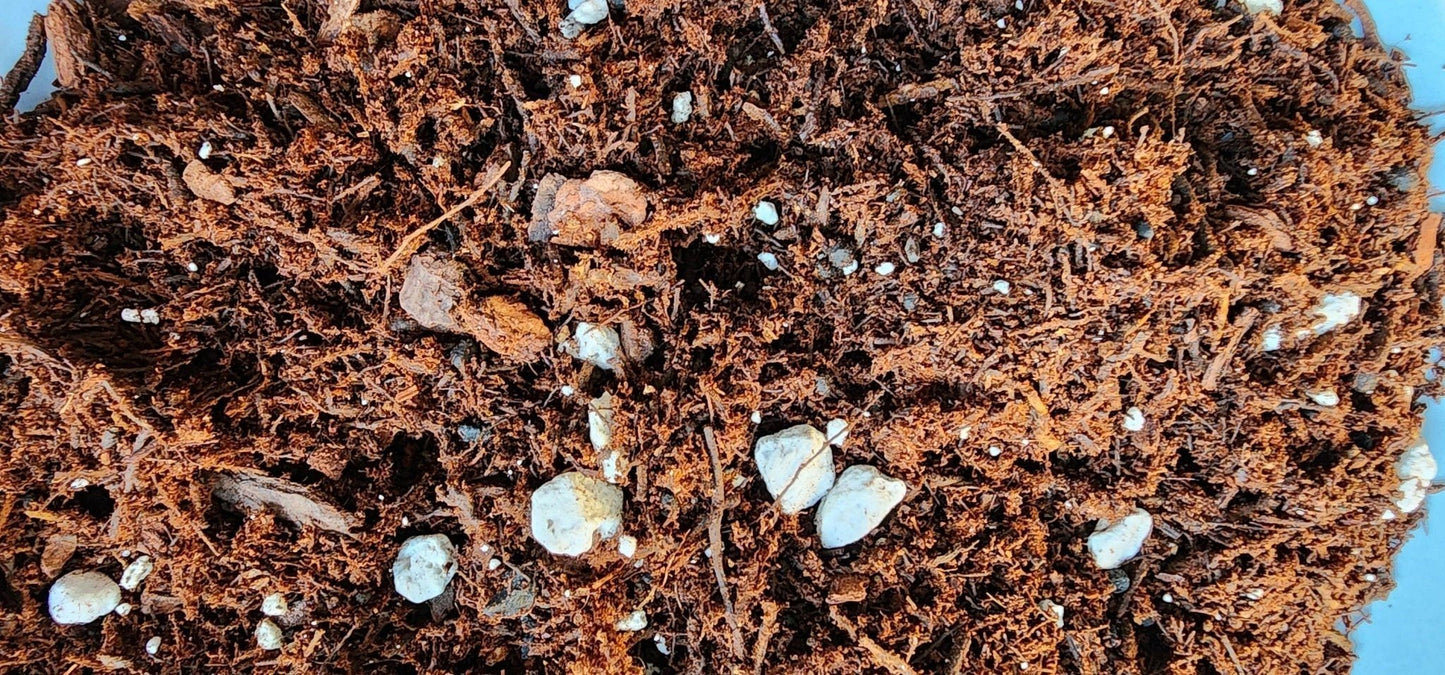 Gathering Moss Phil Dirt Potting Blend - Gathering Moss