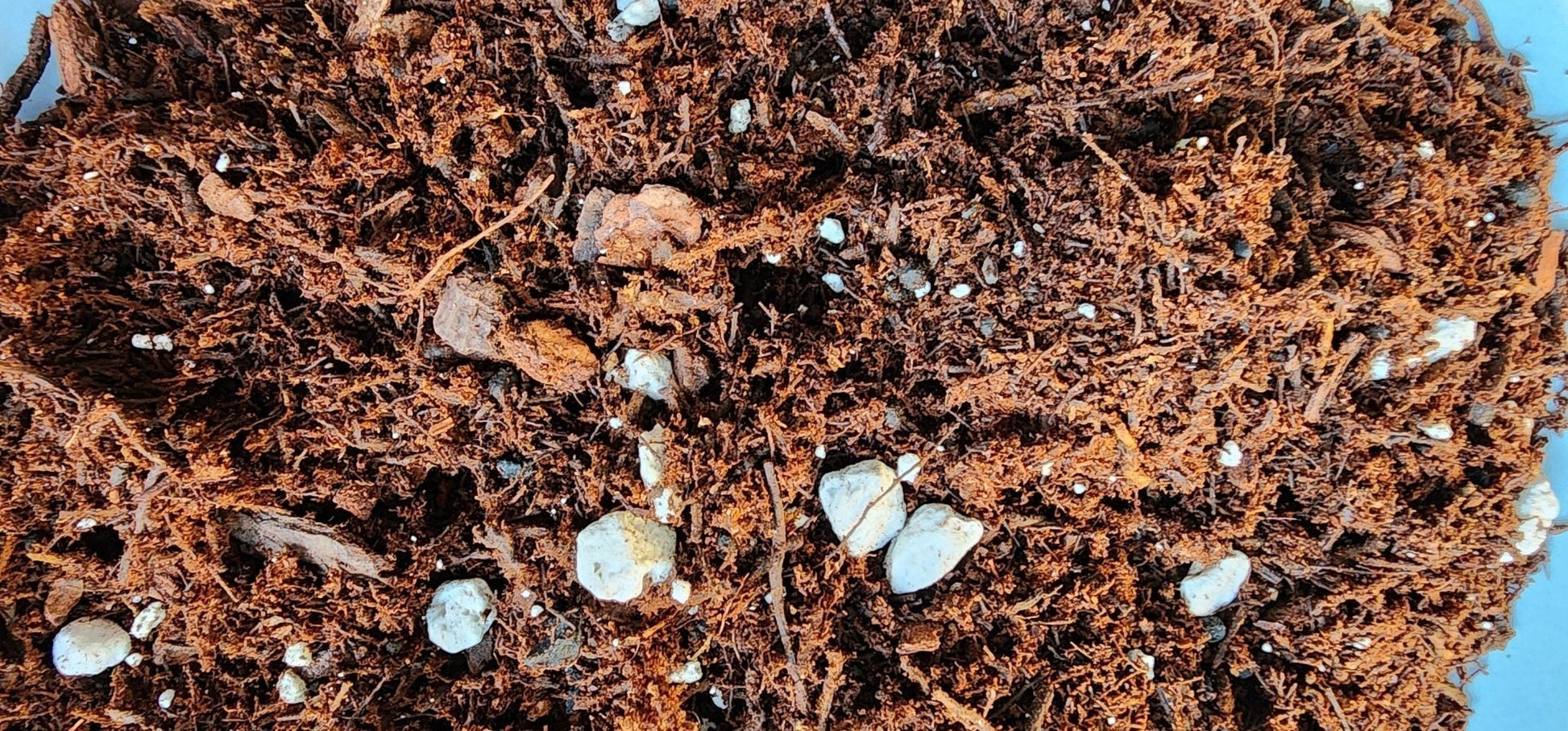 Gathering Moss Phil Dirt Potting Blend - Gathering Moss