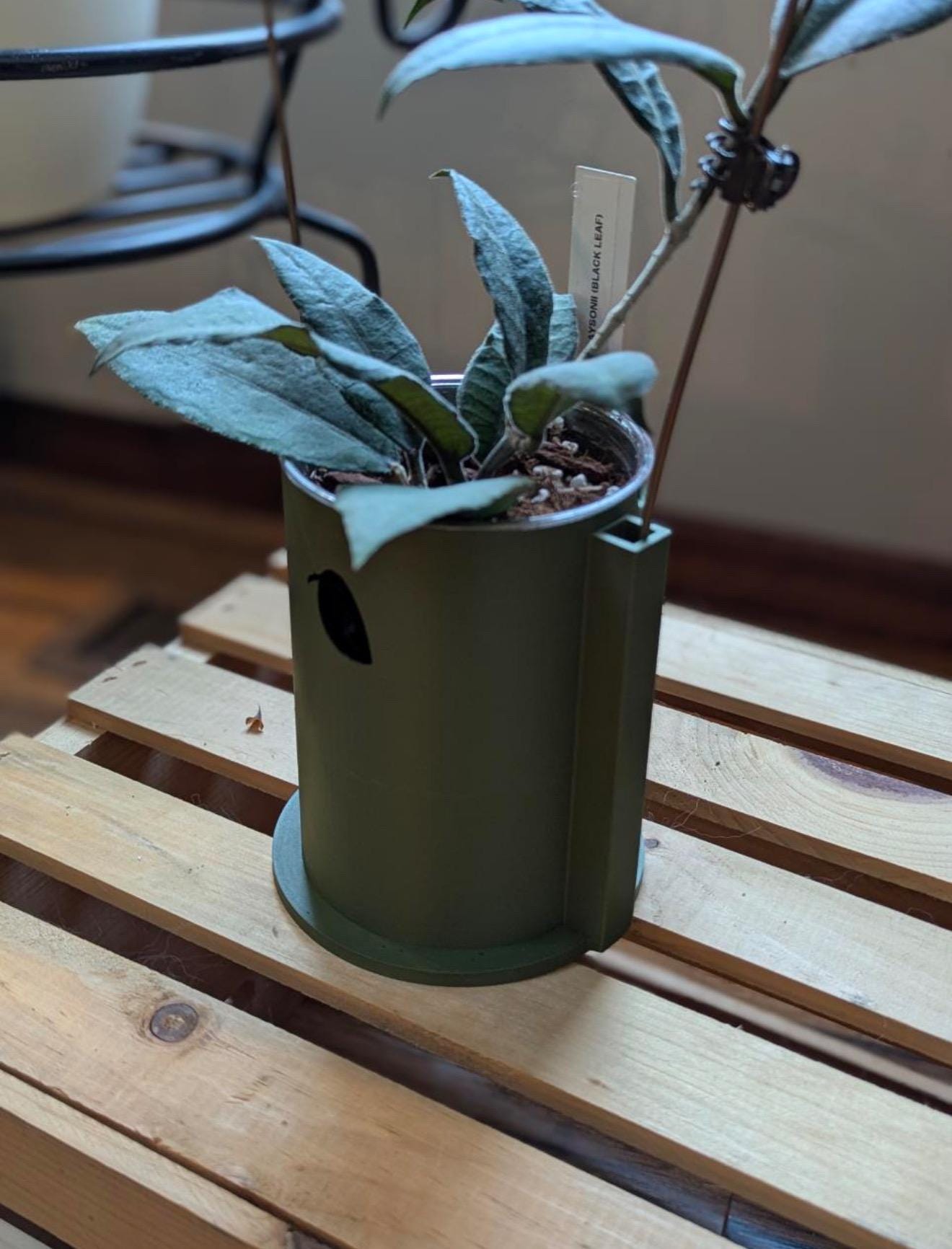 Climb & Thrive Cover Planter