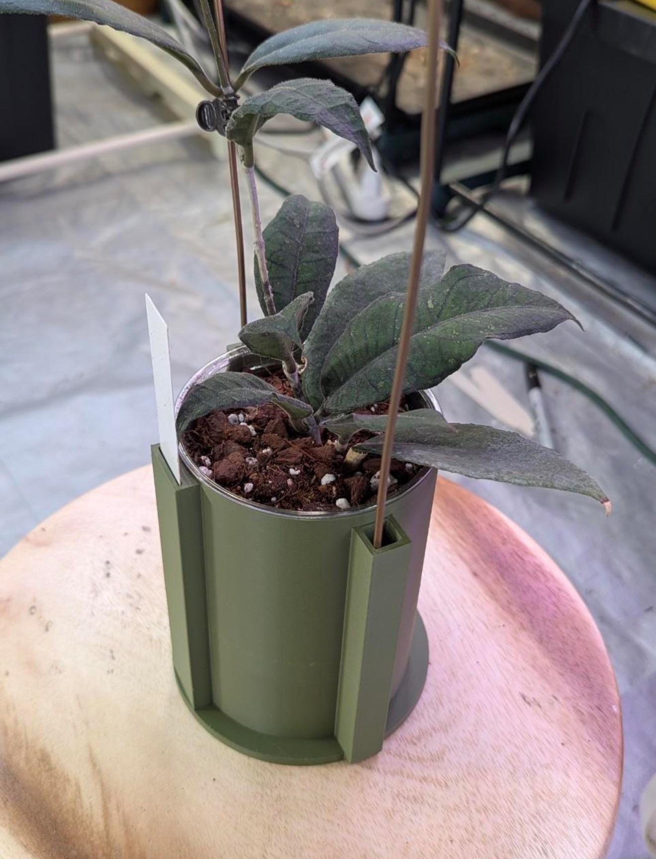 Climb & Thrive Cover Planter