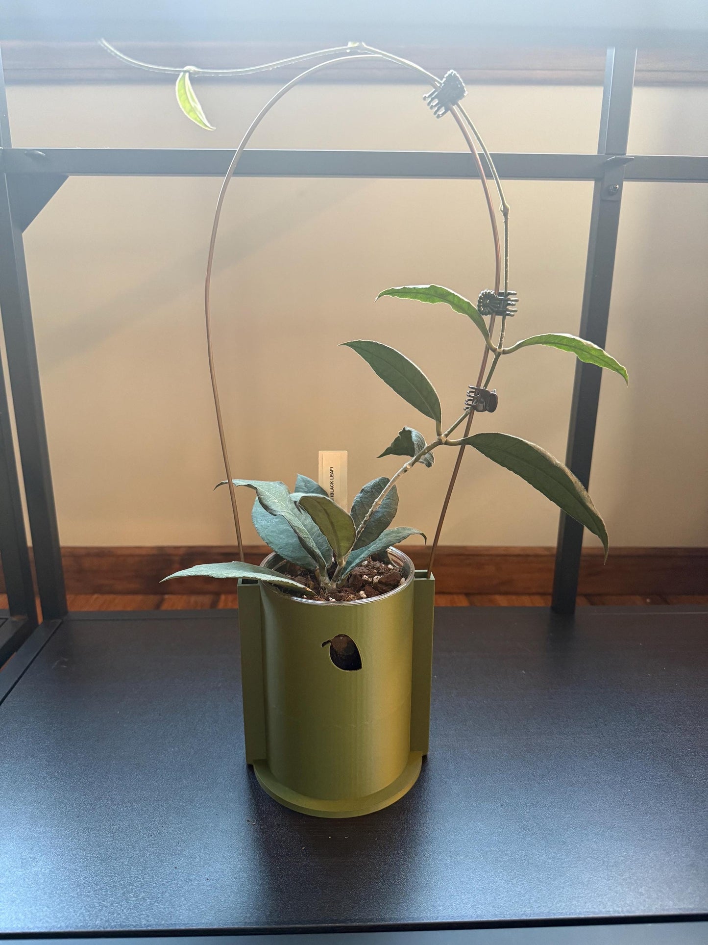 Climb & Thrive Cover Planter