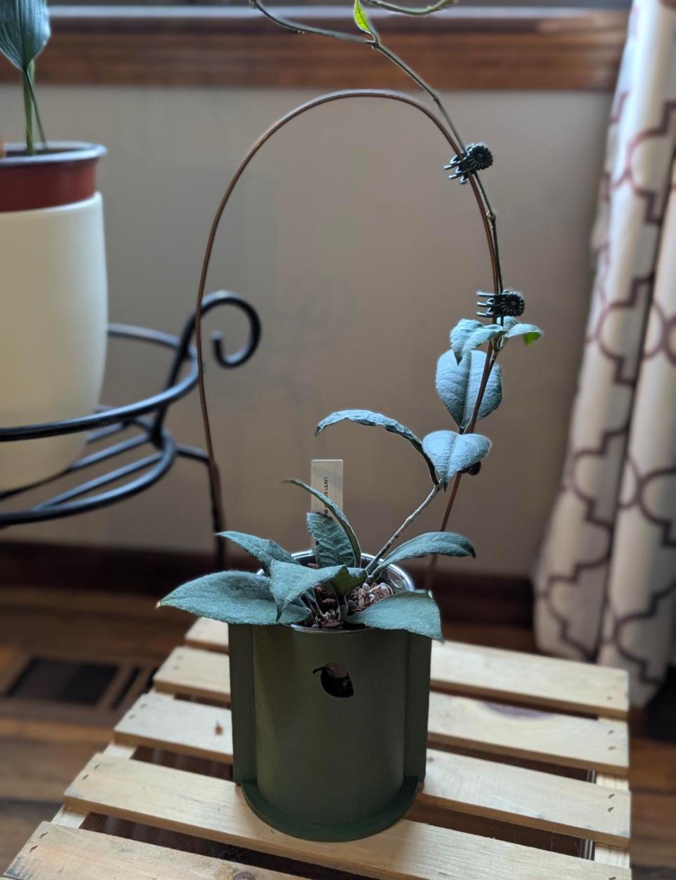 Climb & Thrive Cover Planter