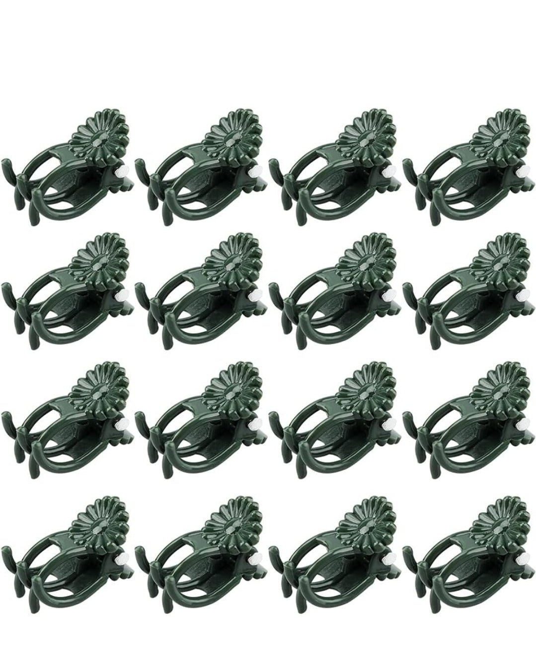 Orchid Clips - Gathering Moss