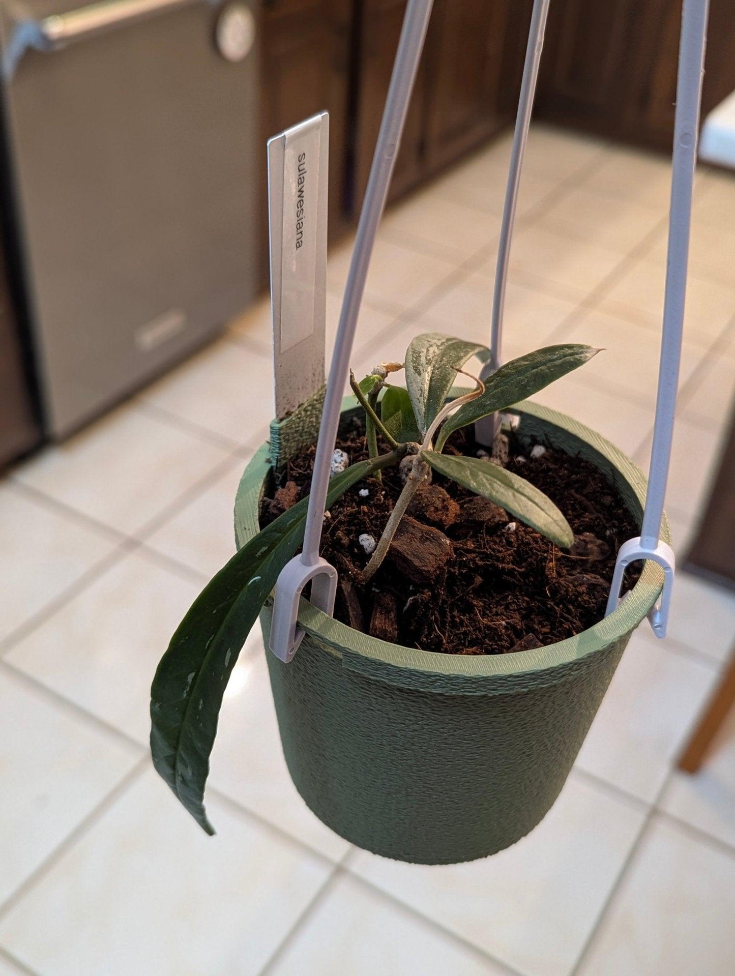 The Lynn – 3.75" Hanging Planter with Plant Tag Holder & Water Reserve – 3D Printed Eco - Friendly Pot - Gathering Moss