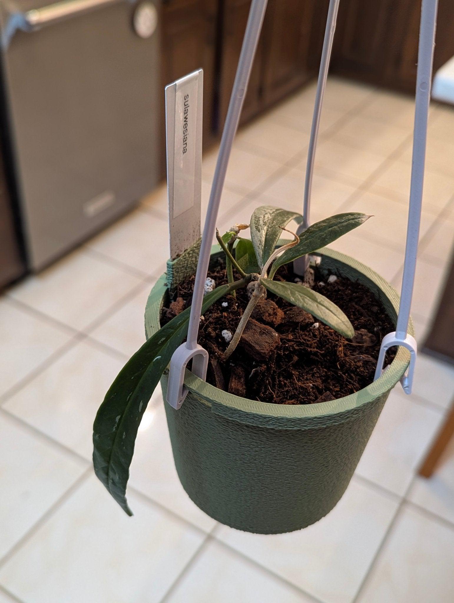 The Lynn – 3.75" Hanging Planter with Plant Tag Holder & Water Reserve – 3D Printed Eco - Friendly Pot - Gathering Moss