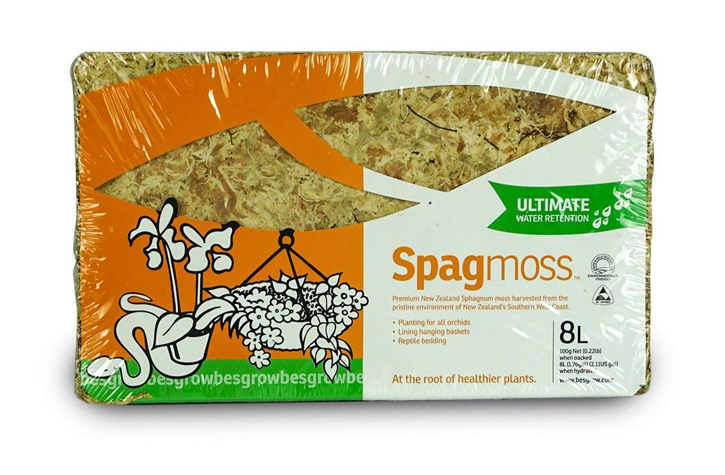 BesGrow 3kg BULK New Zealand Sphagnum Moss — FrogDaddy