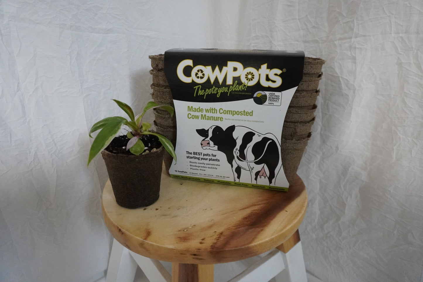 CowPots: The Sustainable, Eco-Friendly Alternative to the Plastic Nursery Pot! - Gathering Moss