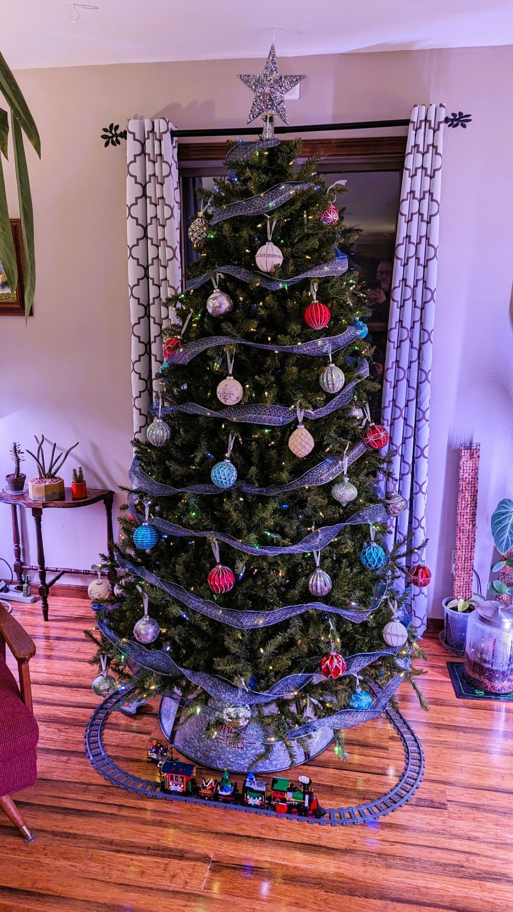 The woodcutter Klaus and the Christmas Tree - Gathering Moss