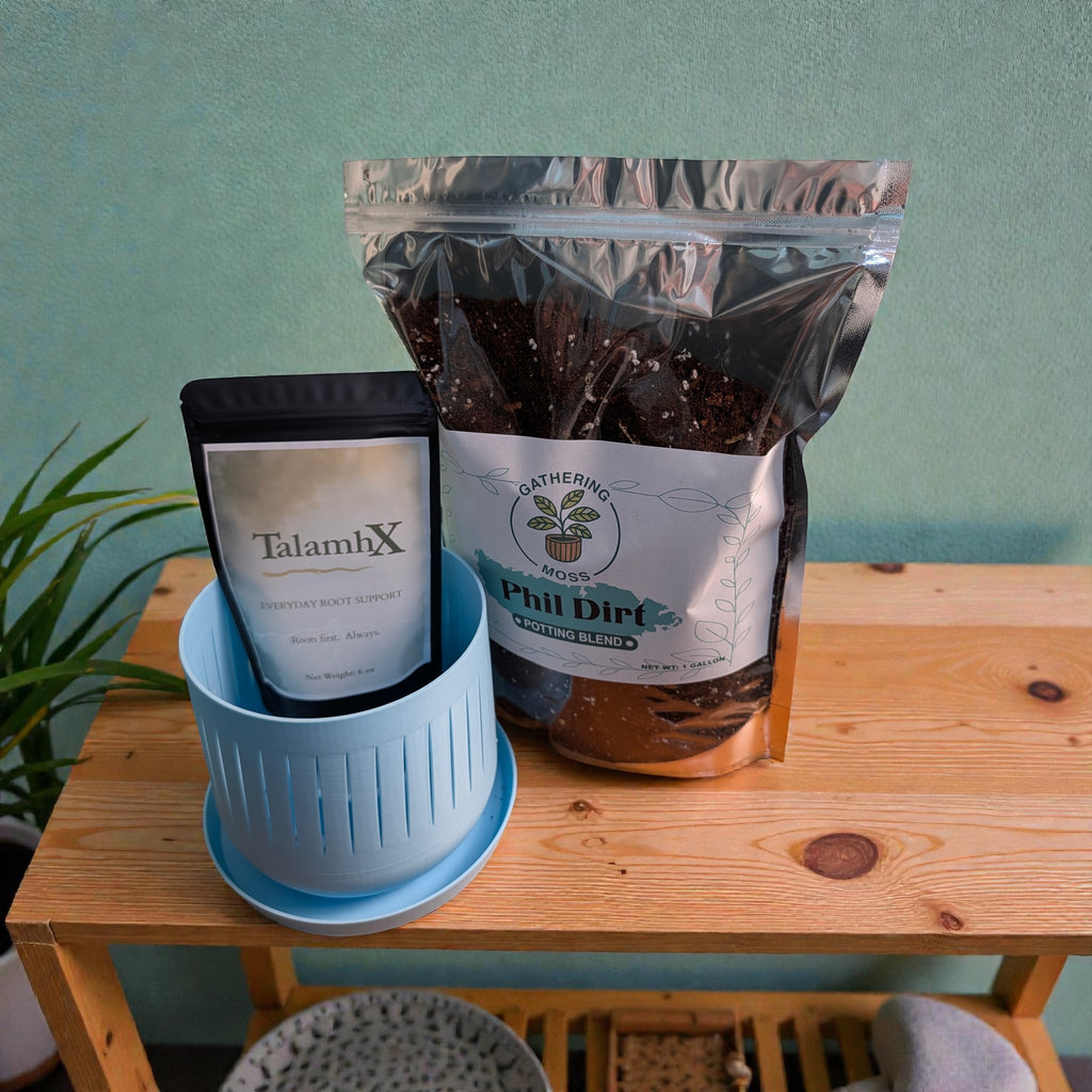 3.5" Roots First Planter