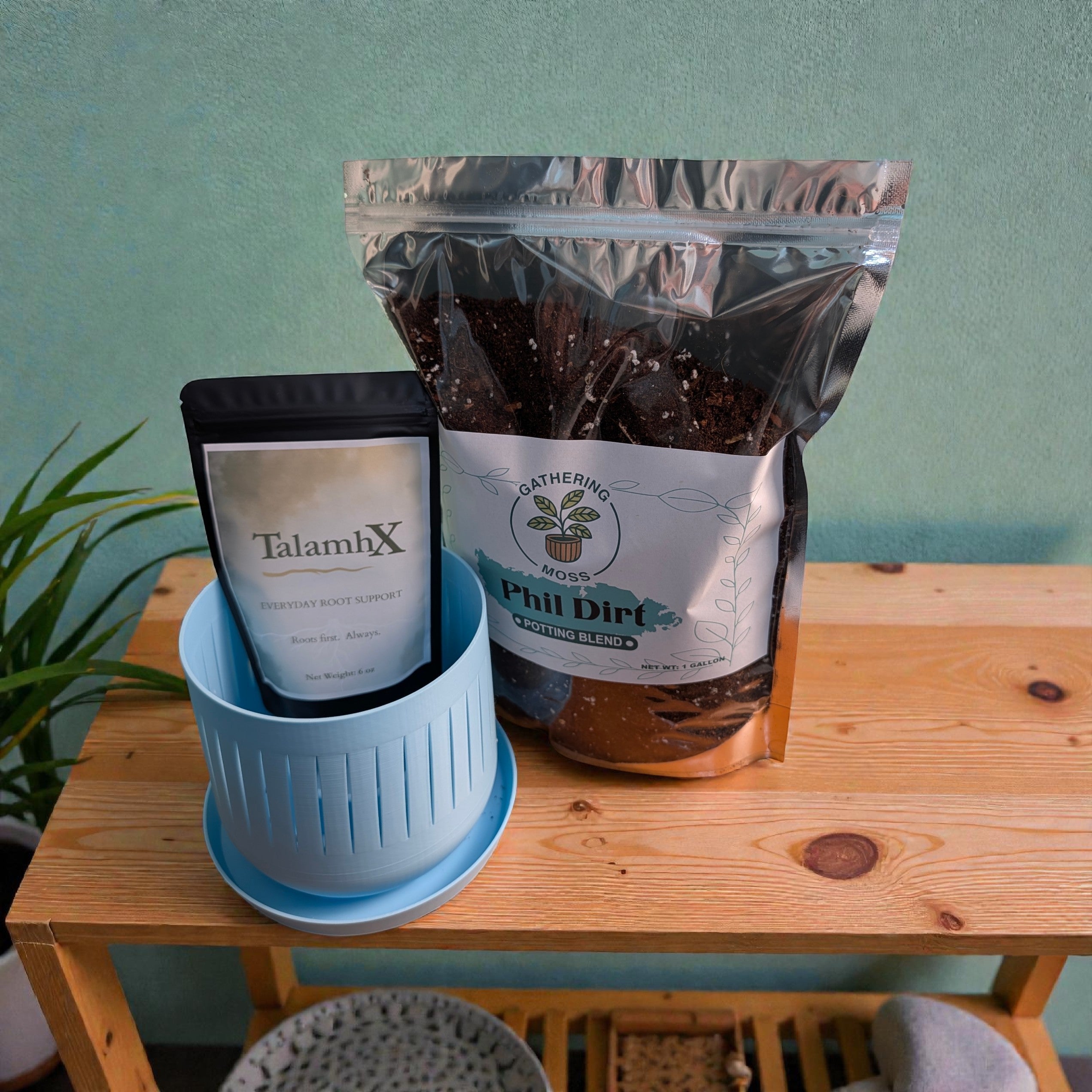 3.5" Roots First Planter