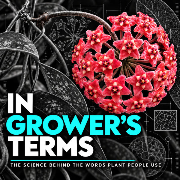 In Grower's Terms