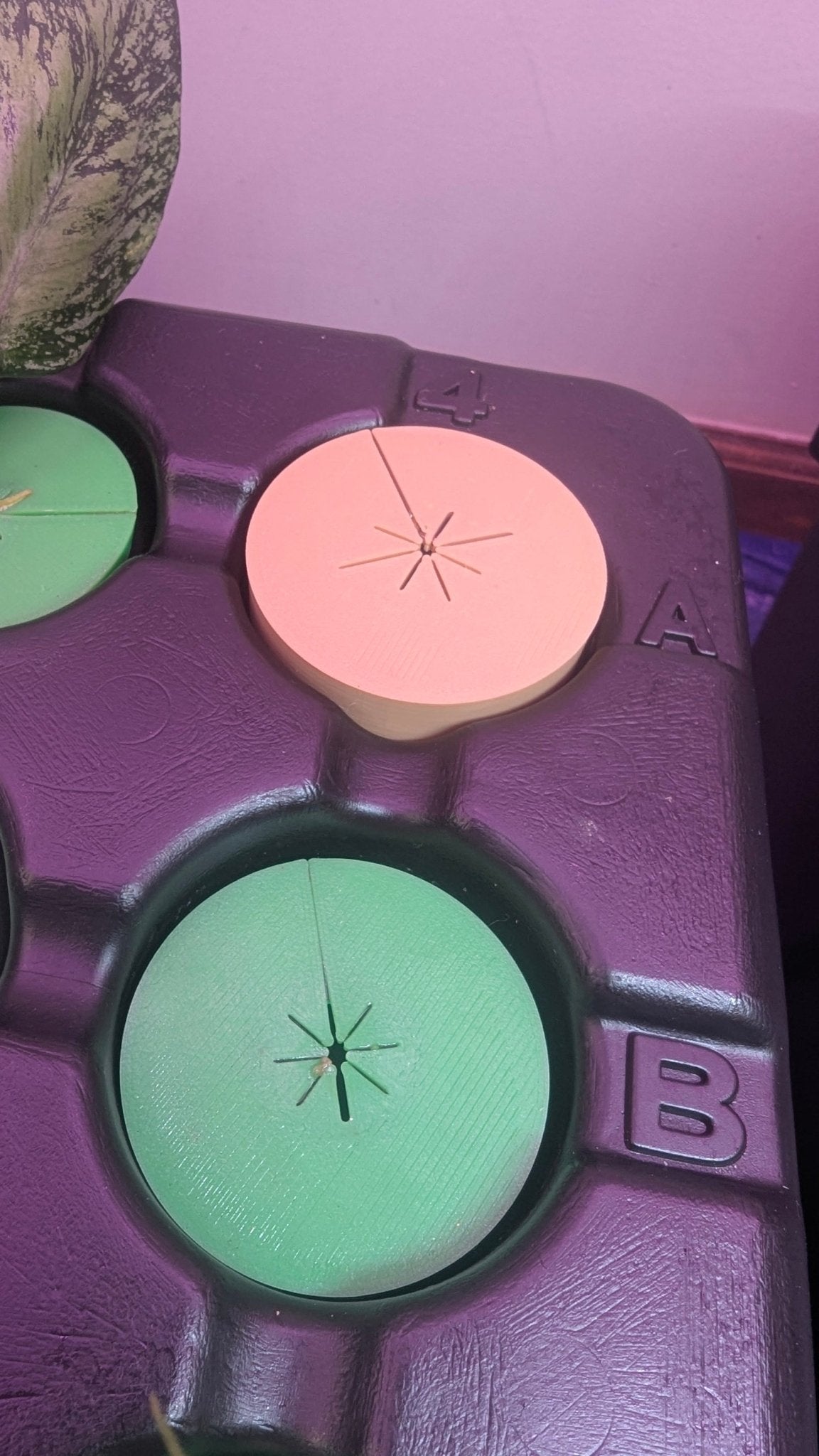 Cloning Collars – Reusable TPU Root - Safe Inserts for Propagation Machines - Gathering Moss