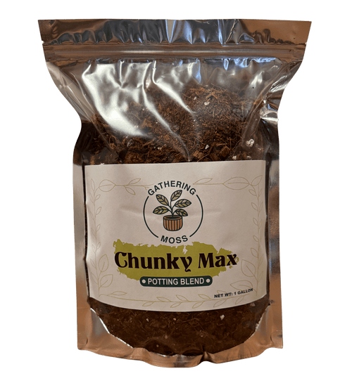 Gathering Moss Chunky Max Mix Made with Tree Fern Fiber! - Gathering Moss