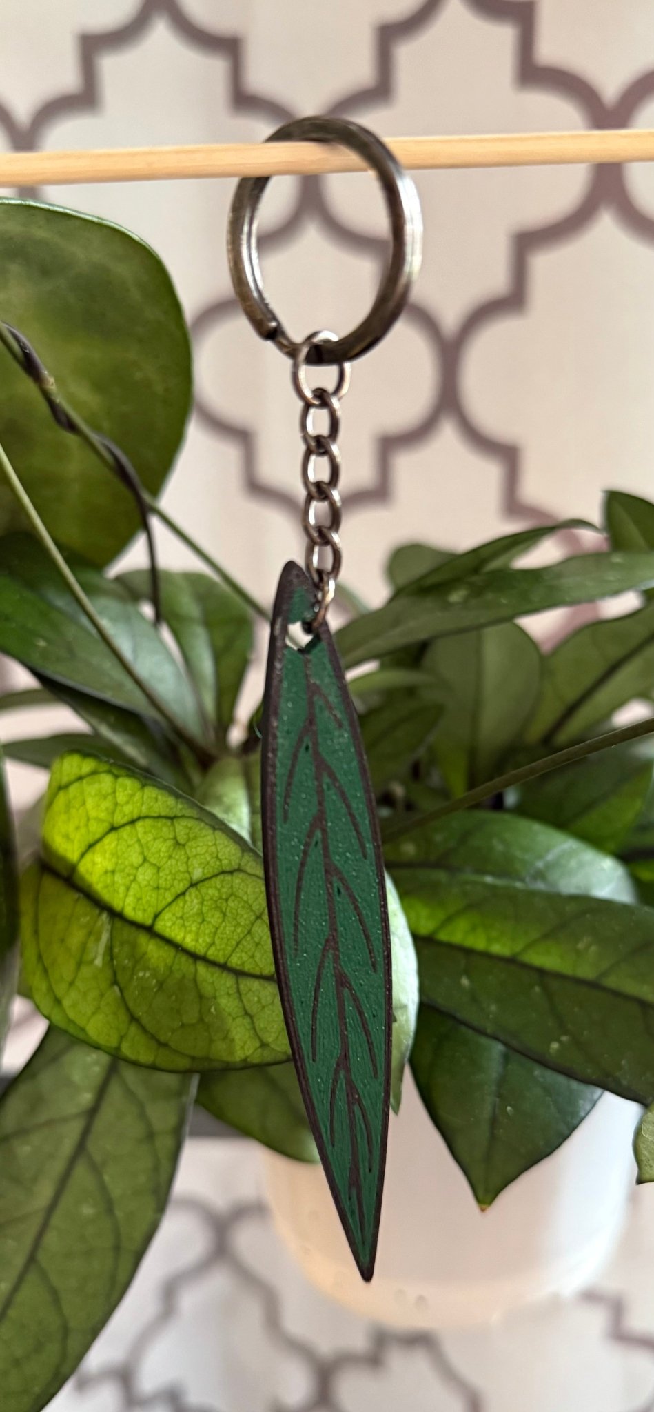 Hoya Keychains - Gathering Moss