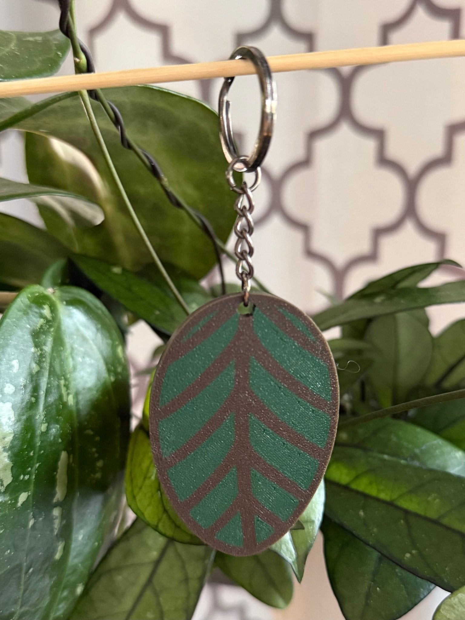 Hoya Keychains - Gathering Moss