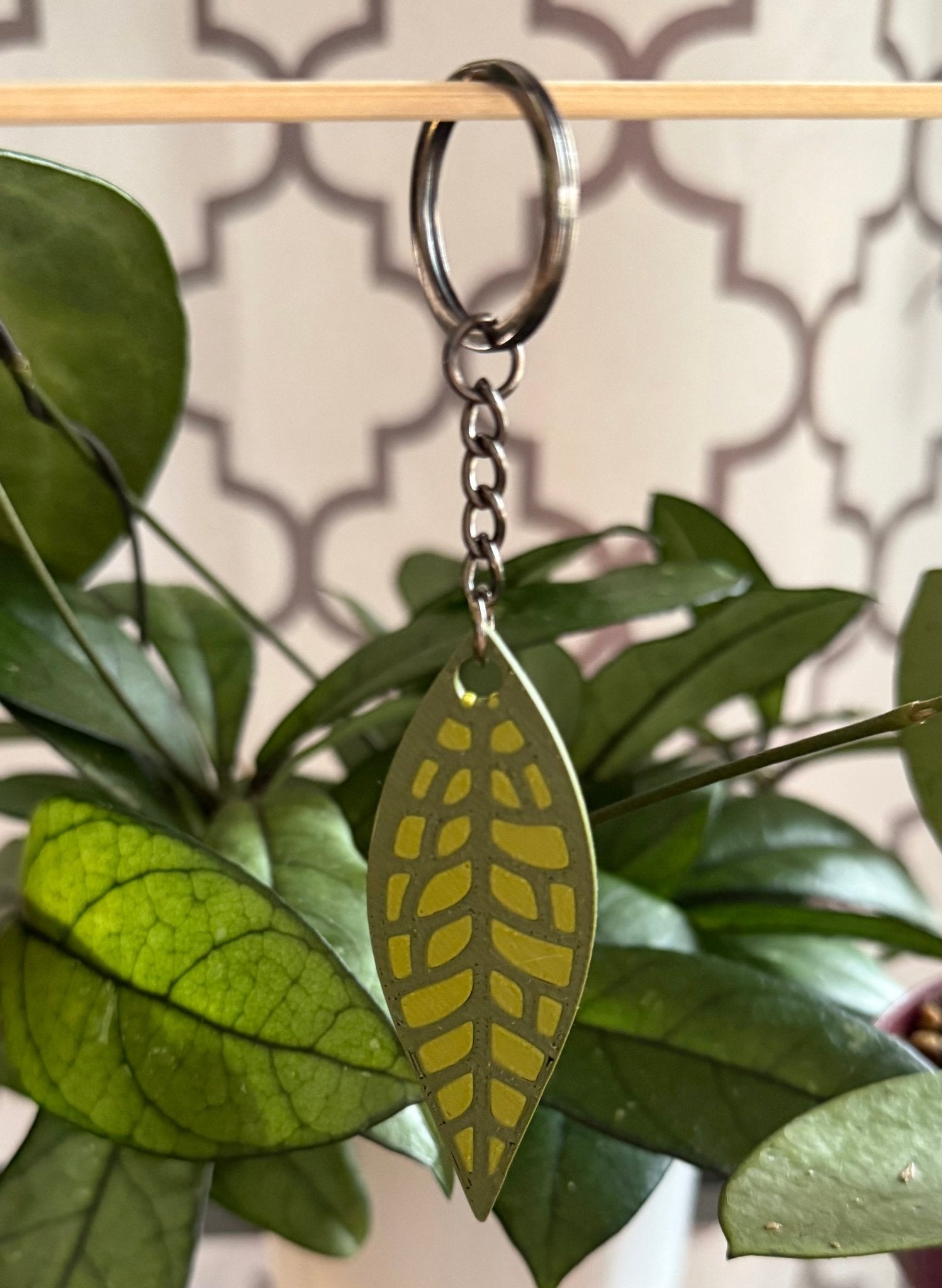 Hoya Keychains - Gathering Moss