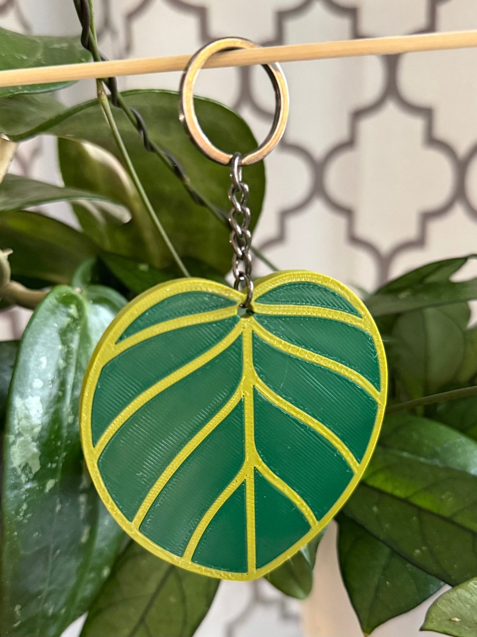 Hoya Keychains - Gathering Moss