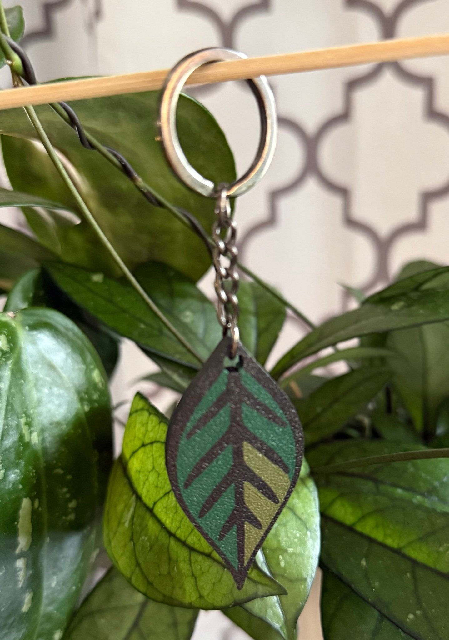 Hoya Keychains - Gathering Moss