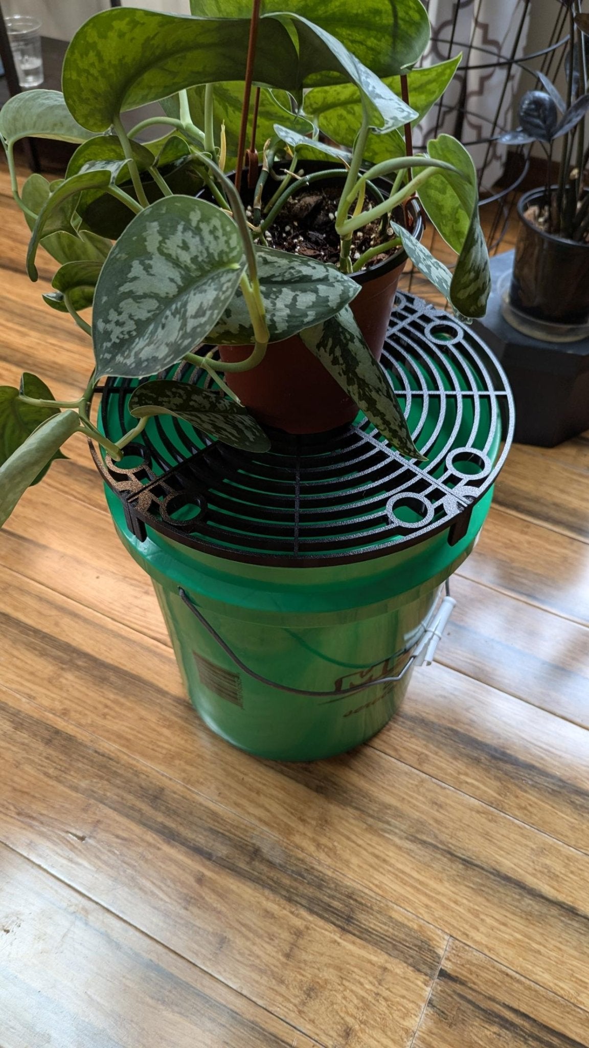 HydraDeck | Mobile Watering Station for Plants | Indoor Plant Care & Repotting Tray Alternative - Gathering Moss