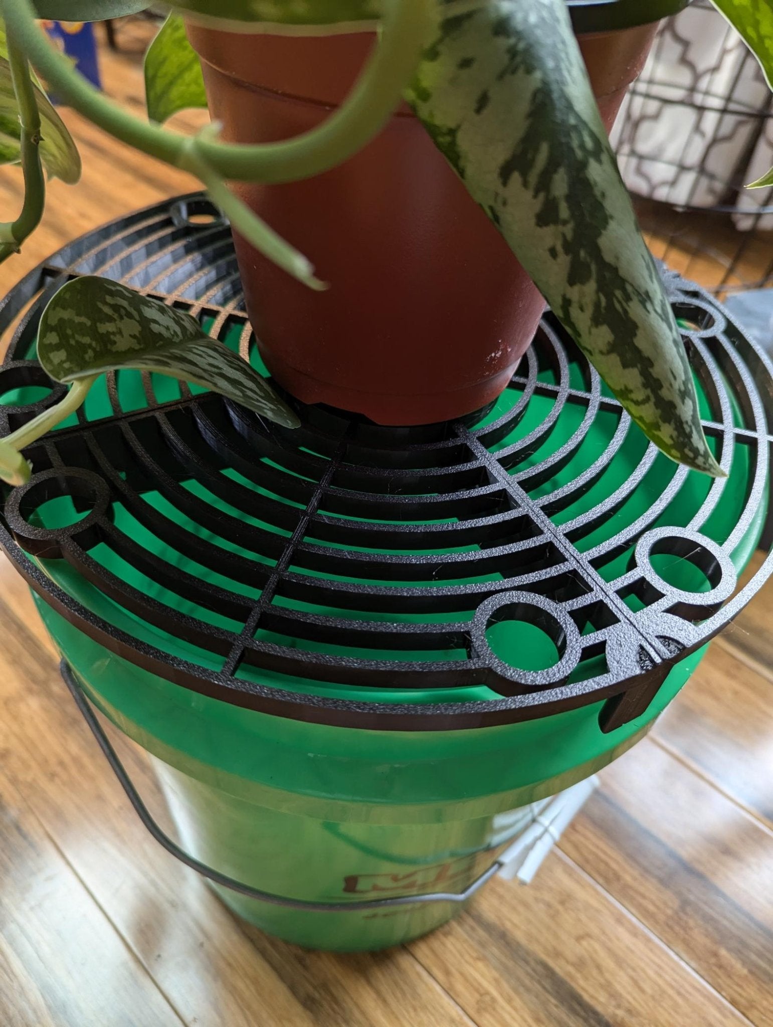 HydraDeck | Mobile Watering Station for Plants | Indoor Plant Care & Repotting Tray Alternative - Gathering Moss