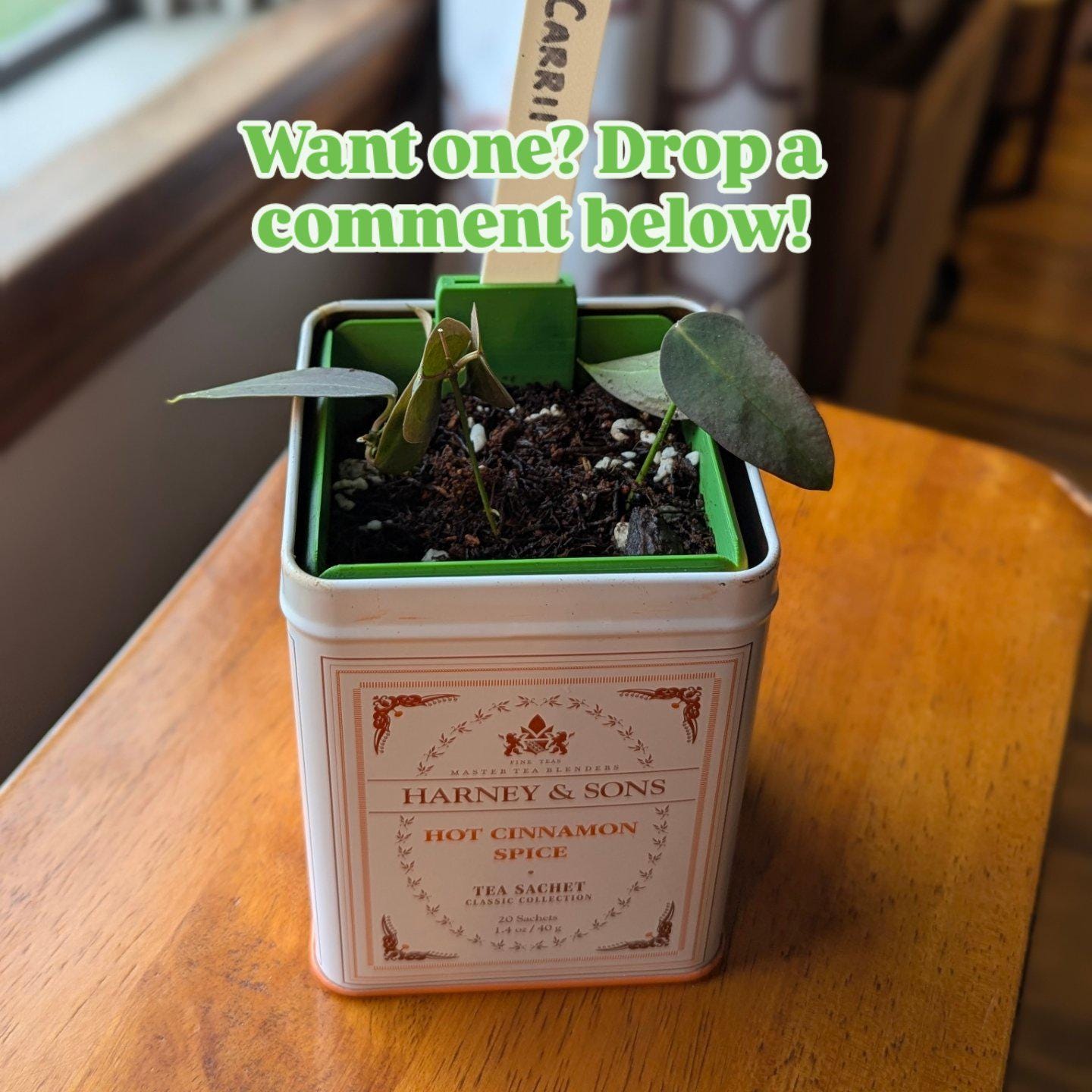 The Tea Time Planter for Harney & Sons tins