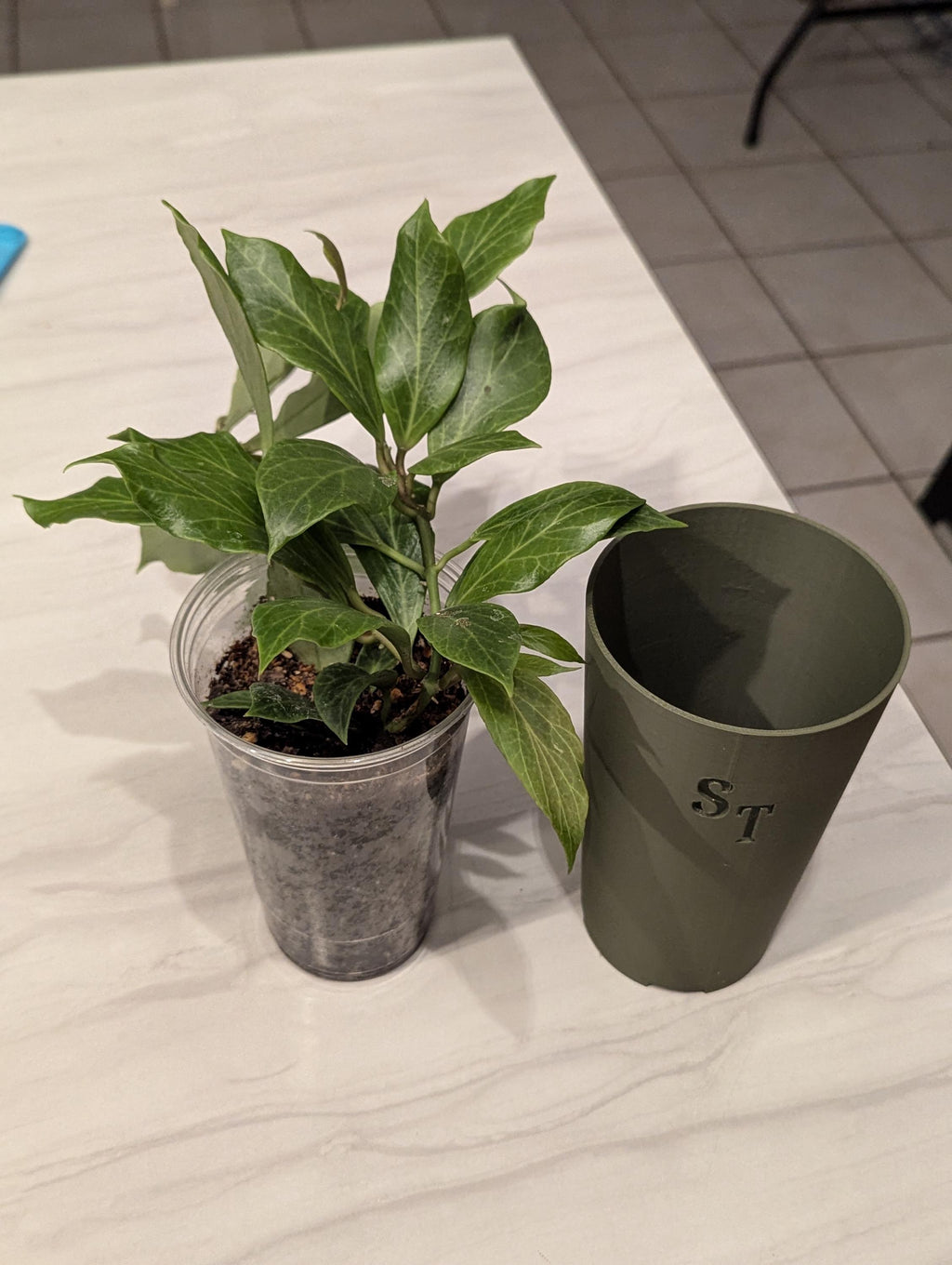 The Lora - Cover pot for clear cups