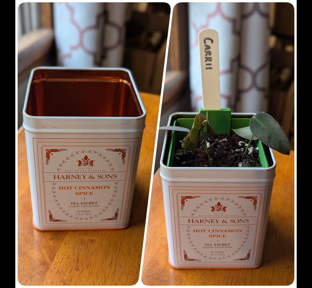 The Tea Time Planter for Harney & Sons tins