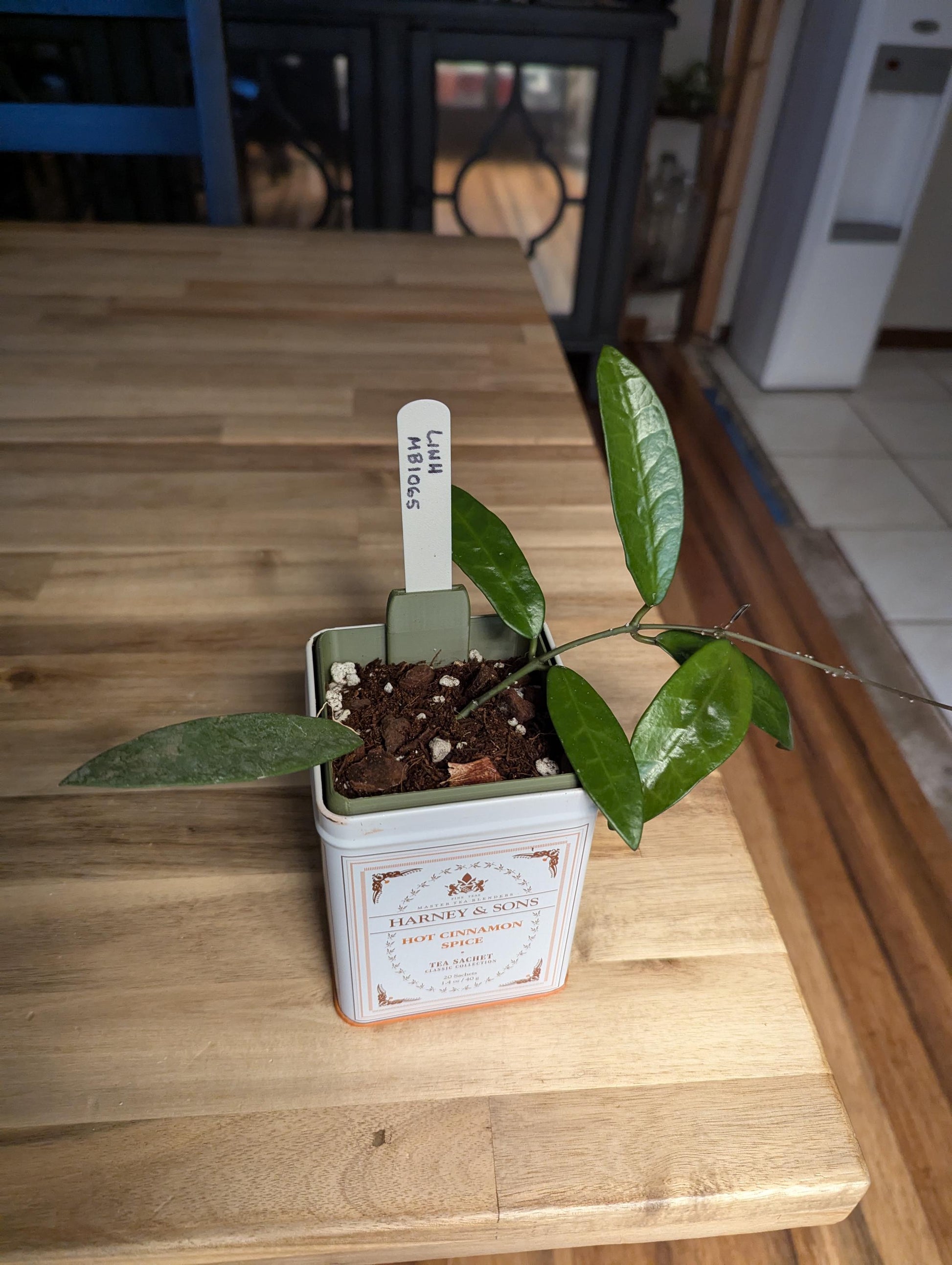 The Tea Time Planter for Harney & Sons tins
