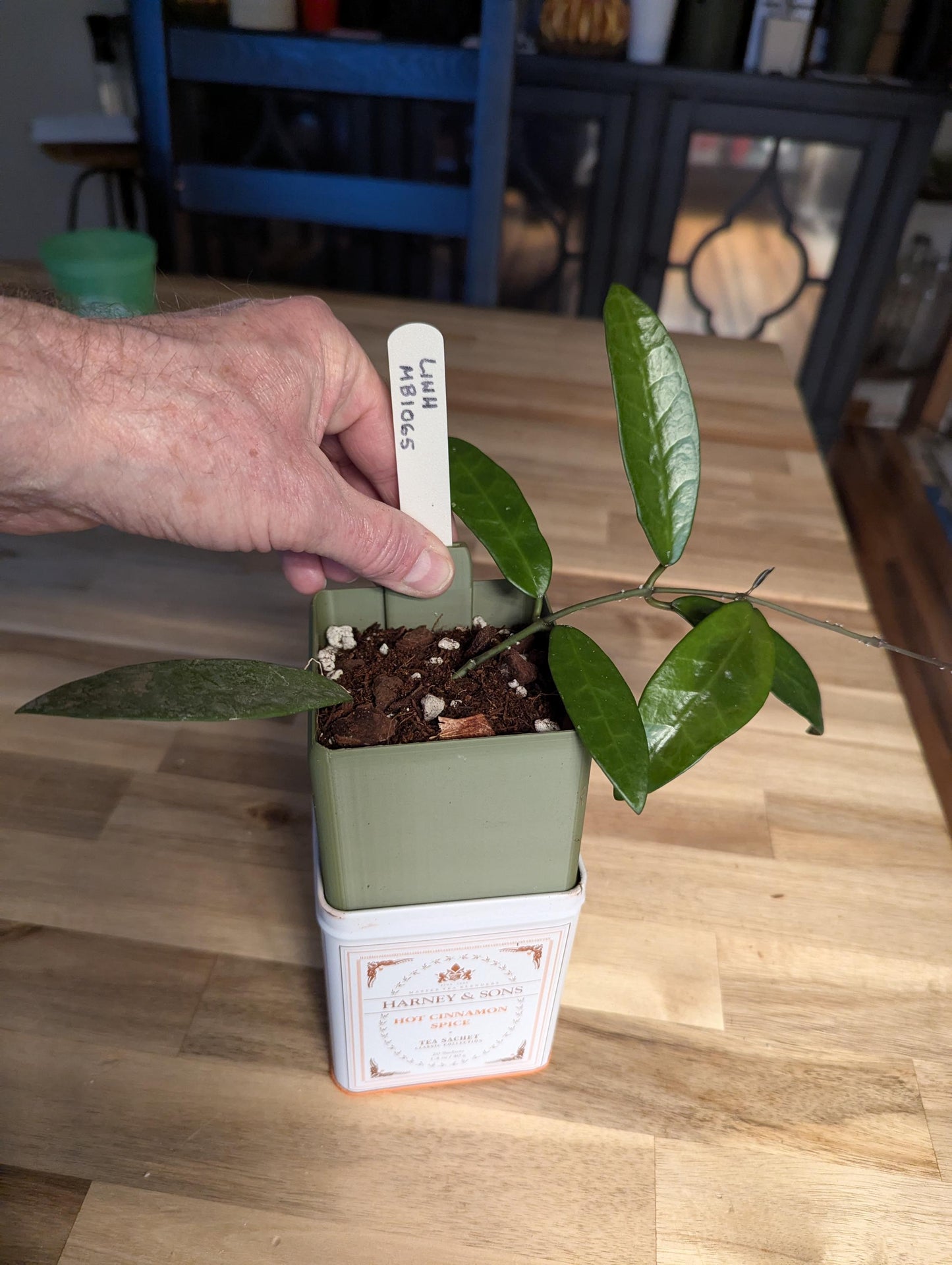The Tea Time Planter for Harney & Sons tins
