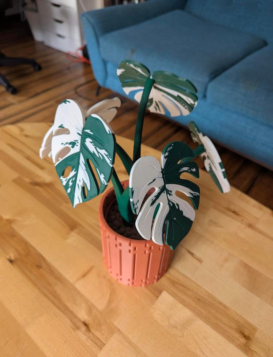 Monstera Leaf Coaster Set – 3D Printed by Gathering Moss - Gathering Moss