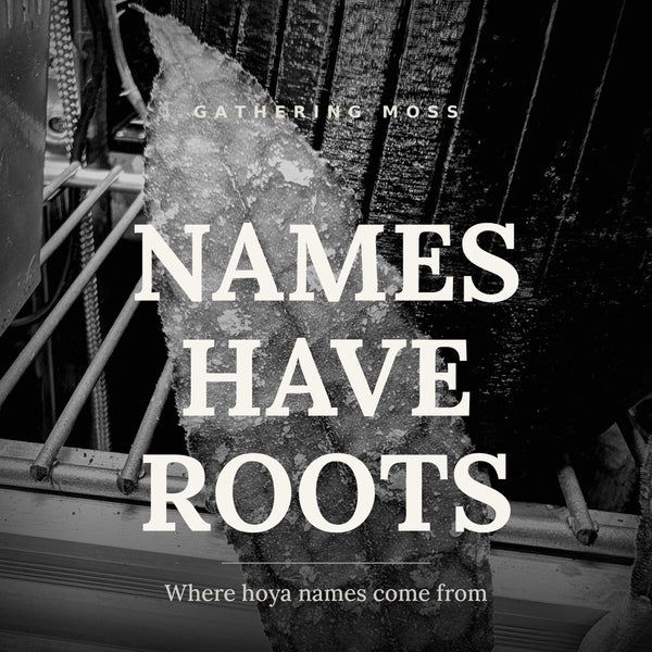 Names Have Roots