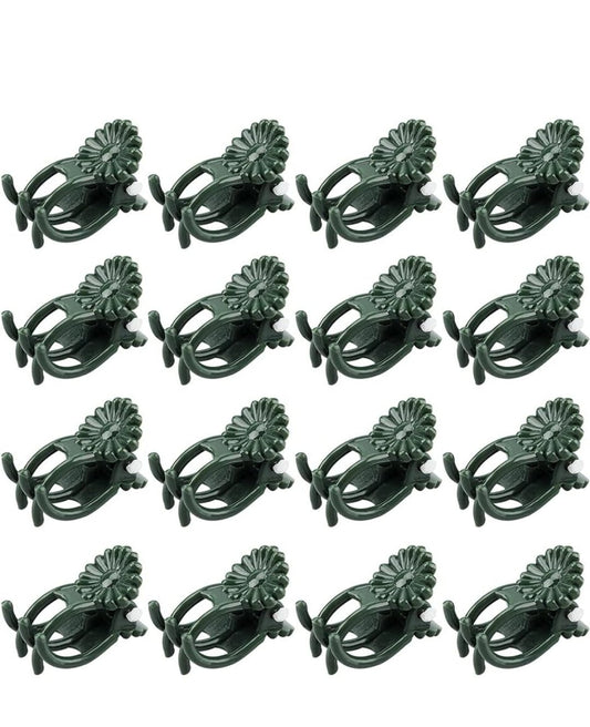 Orchid Clips - Gathering Moss
