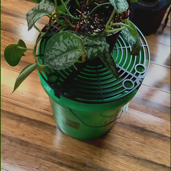 HydraDeck | Mobile Watering Station for Plants | Indoor Plant Care & Repotting Tray Alternative