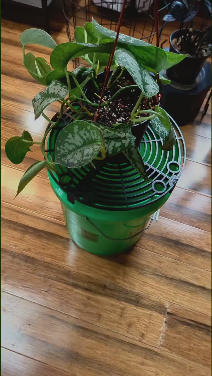 HydraDeck | Mobile Watering Station for Plants | Indoor Plant Care & Repotting Tray Alternative