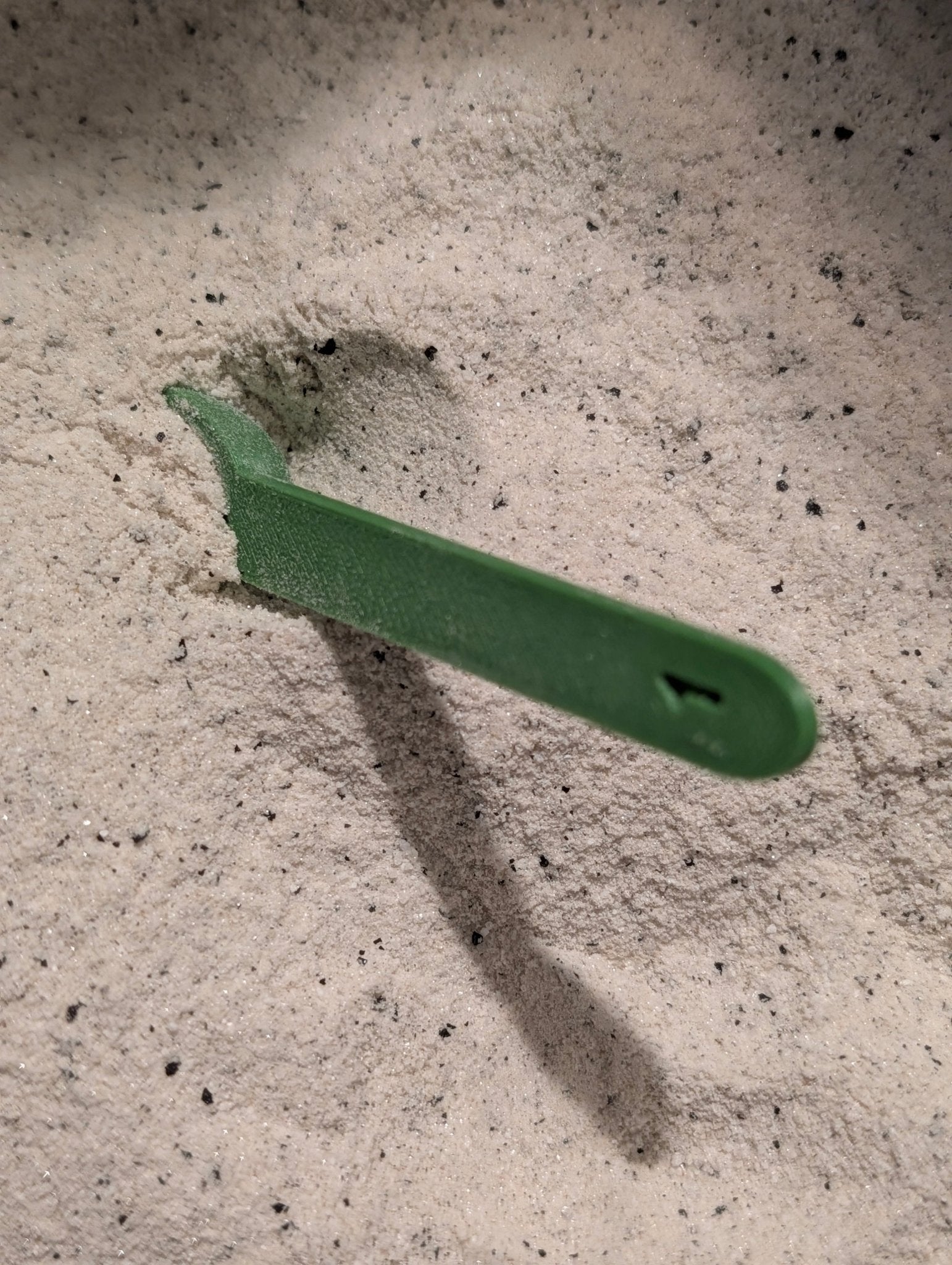 TalamhX - Gathering Moss