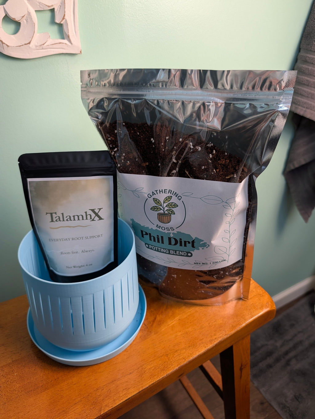 TalamhX - Gathering Moss