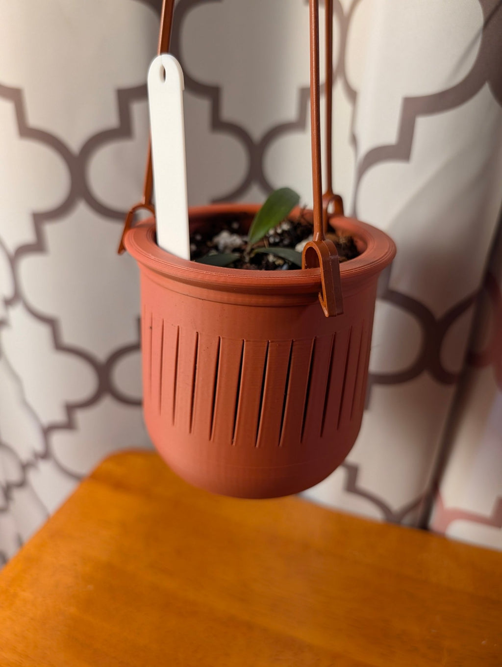 The Lynn – 3.75” Hanging Planter with Built - In Plant Tag Holder & Water Reserve 3D Printed Planter for Small Plants / Rare Tropicals - Gathering Moss