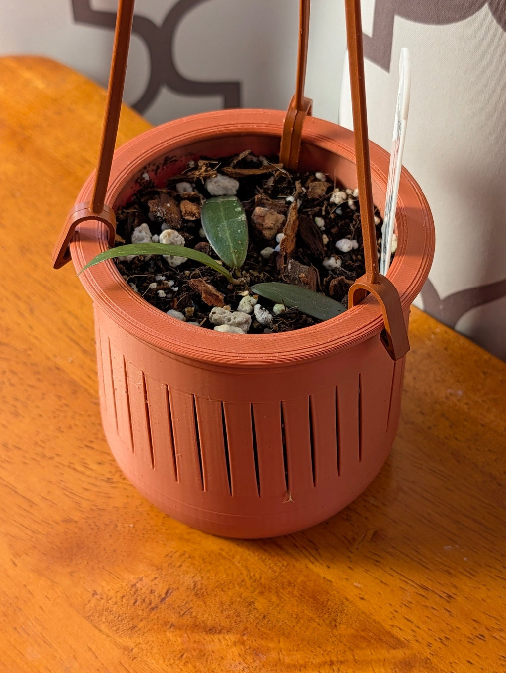 The Lynn – 3.75” Hanging Planter with Built - In Plant Tag Holder & Water Reserve 3D Printed Planter for Small Plants / Rare Tropicals - Gathering Moss