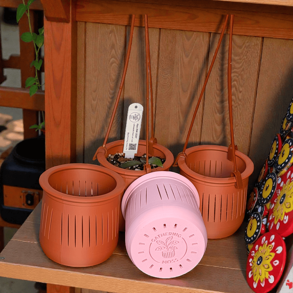 The Lynn – 3.75” Hanging Planter with Built - In Plant Tag Holder & Water Reserve 3D Printed Planter for Small Plants / Rare Tropicals - Gathering Moss