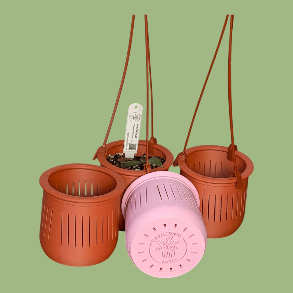 The Lynn – 3.75” Hanging Planter with Built - In Plant Tag Holder & Water Reserve 3D Printed Planter for Small Plants / Rare Tropicals - Gathering Moss