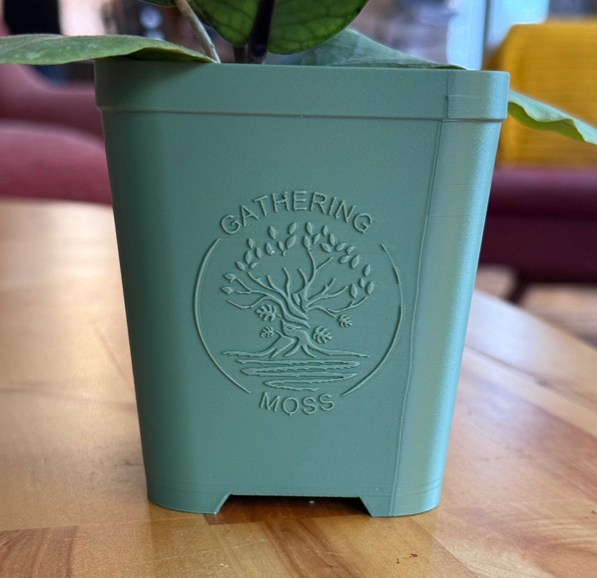 The Schlief Planter by Gathering Moss - Gathering Moss