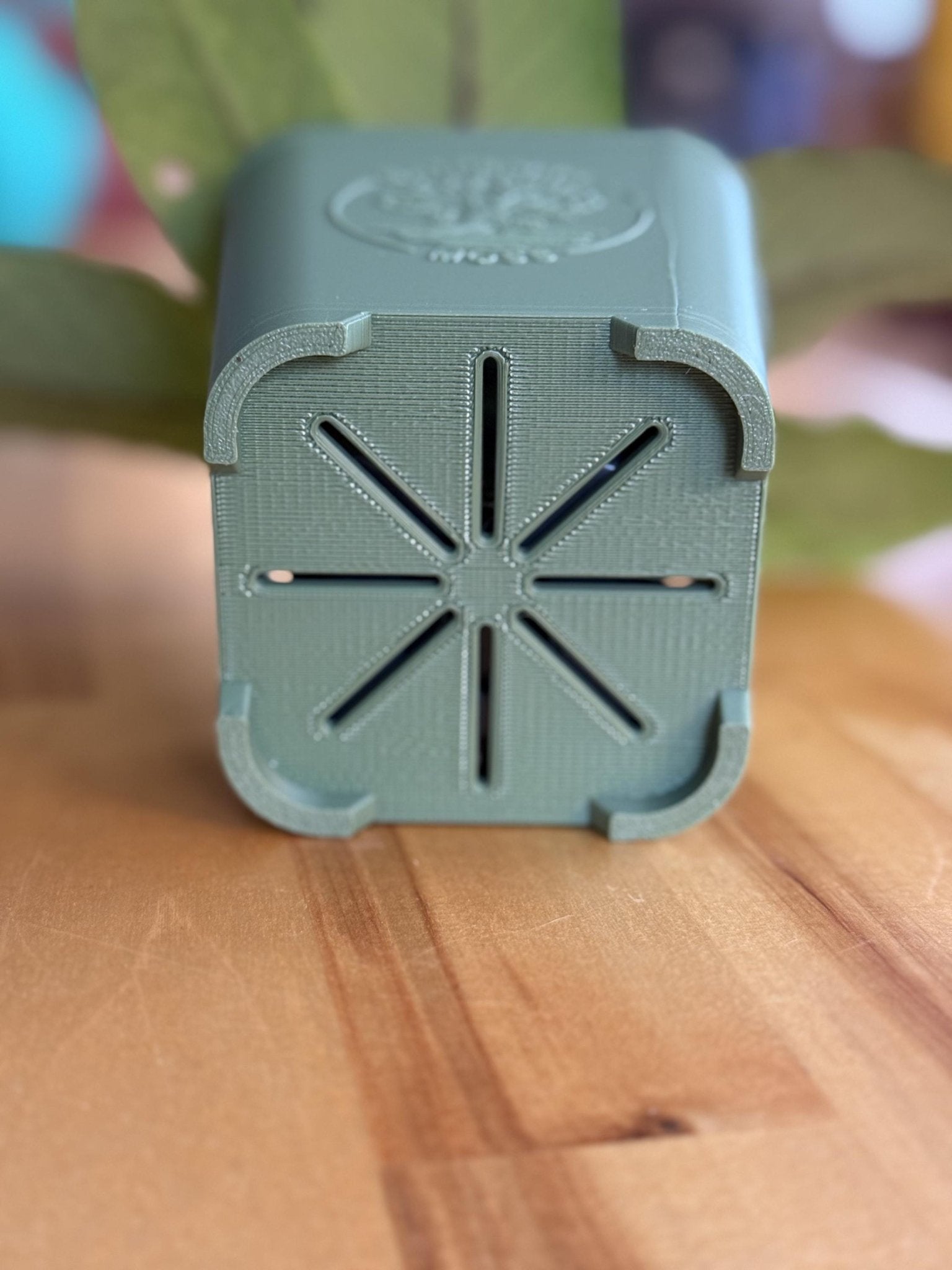 The Schlief Planter by Gathering Moss - Gathering Moss