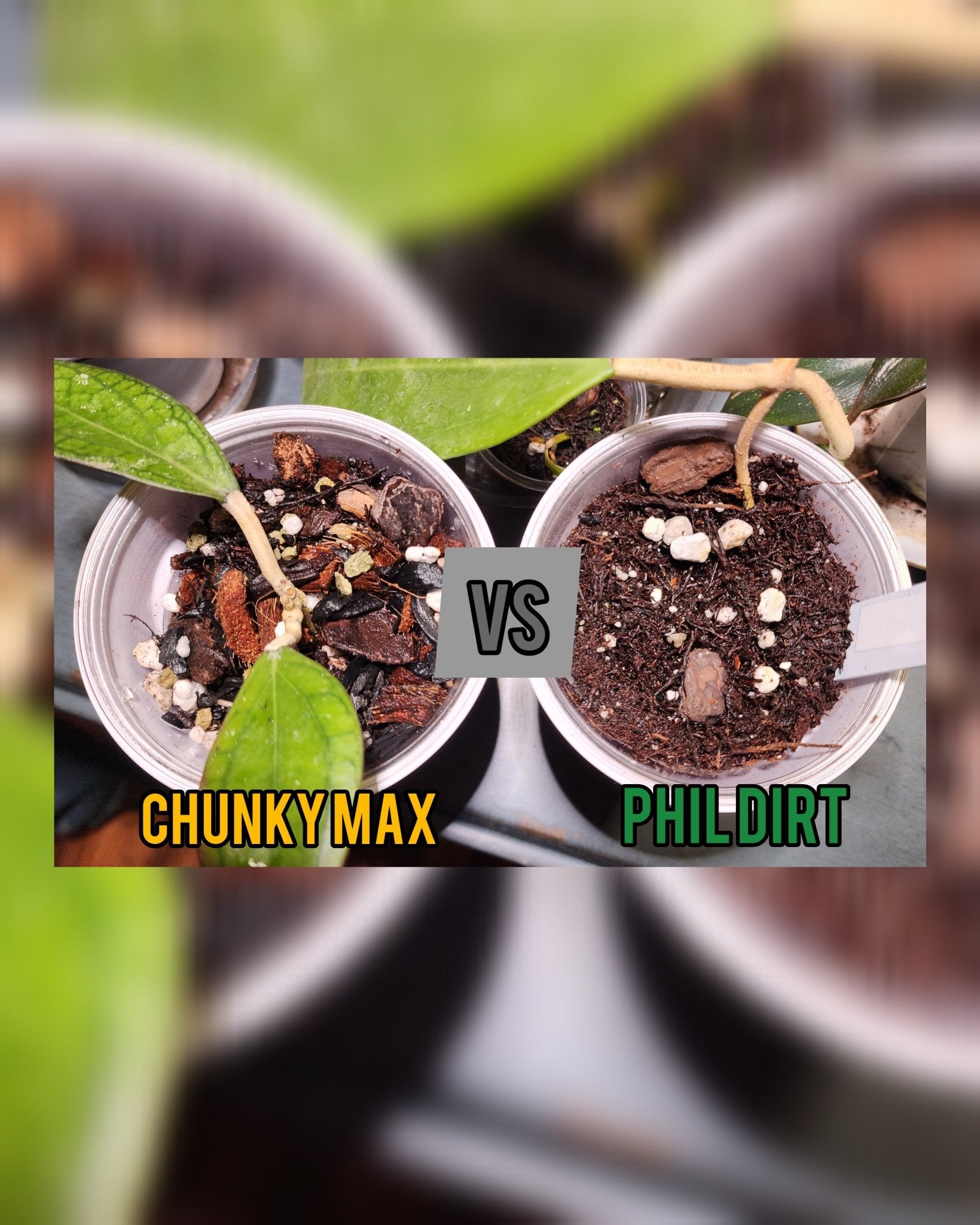 Chunky Max Mix - Gathering Moss