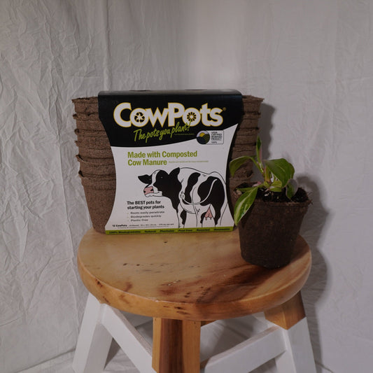 CowPots: The Sustainable, Eco-Friendly Alternative to the Plastic Nursery Pot! - Gathering Moss